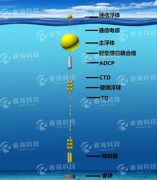 微信图片_20250225170735