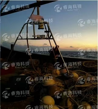 微信图片_20250226093444