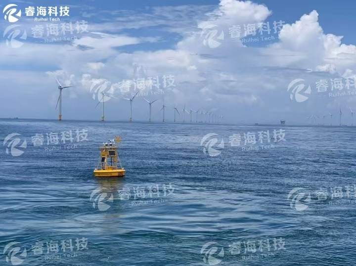 微信图片_20250226102020