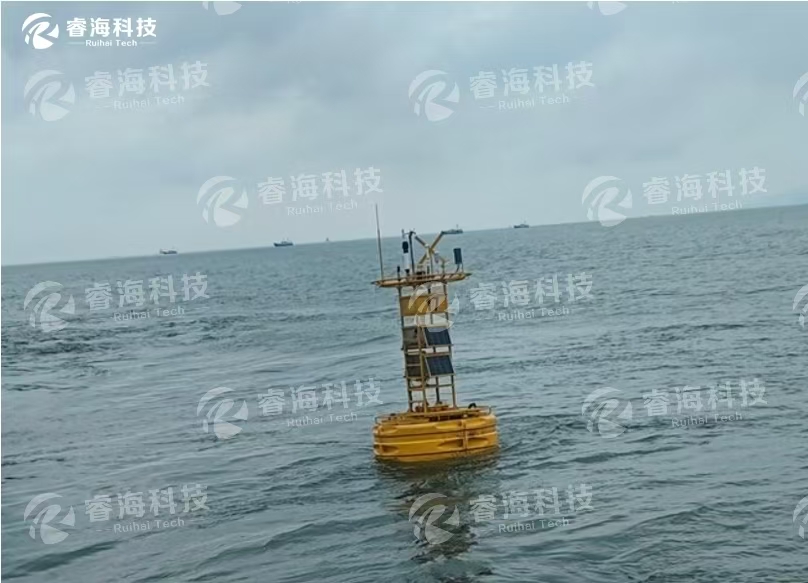 微信图片_20250227115004